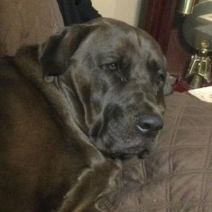 Meet your Posher, Joseph